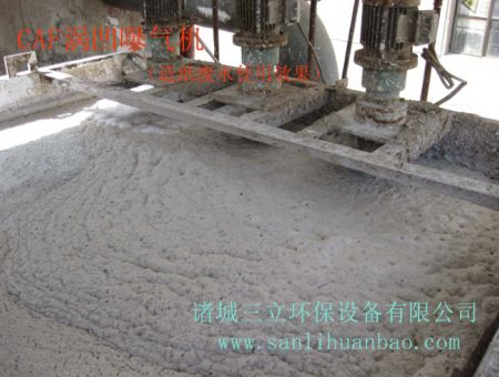 點(diǎn)擊查看詳細(xì)信息<br>標(biāo)題：CAF渦凹?xì)飧C(jī)使用現(xiàn)場(chǎng) 閱讀次數(shù)：15673